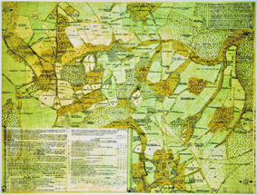 Asbacher Zehnt-Karte von 1779 Asbacher Zehnt-Karte von 1779